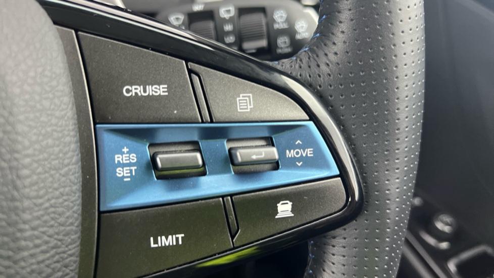 speed limiter and cruise control 