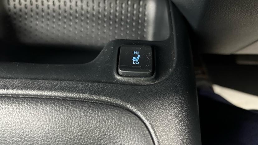 heated and cooled seats