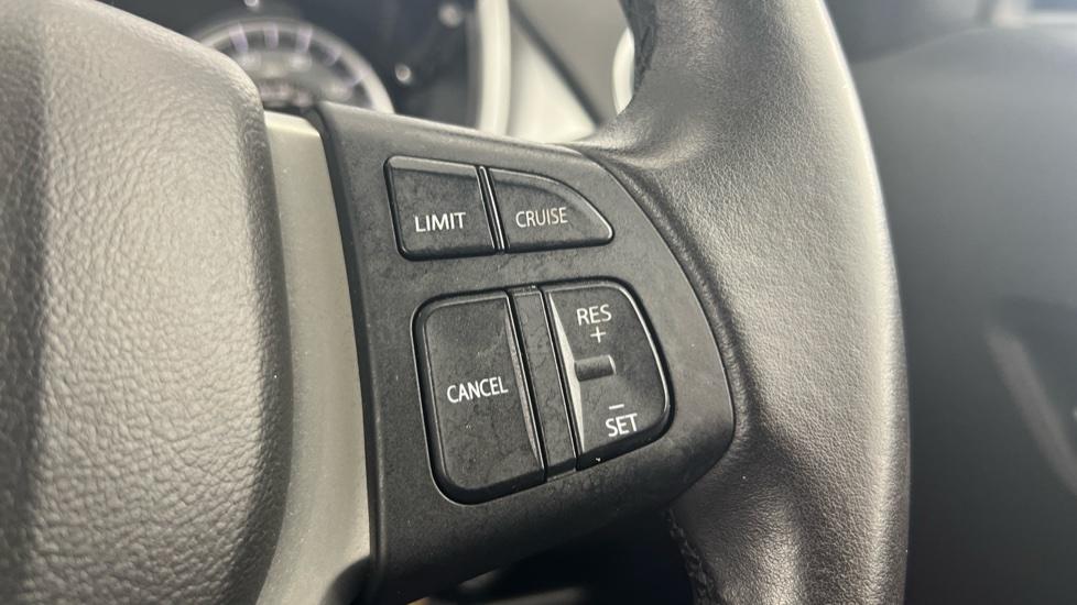 Speed limiter and cruise control 