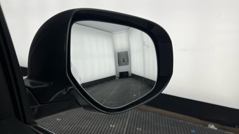 blind spot monitoring system 