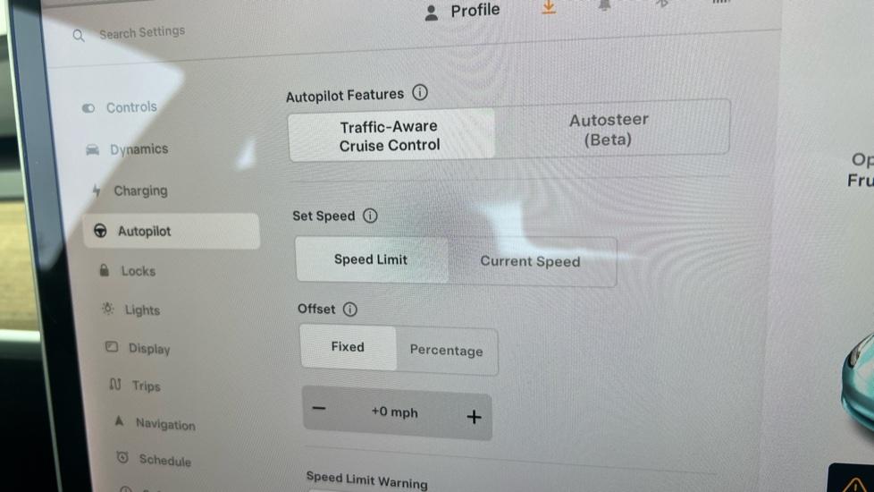 speed limiter and cruise control 