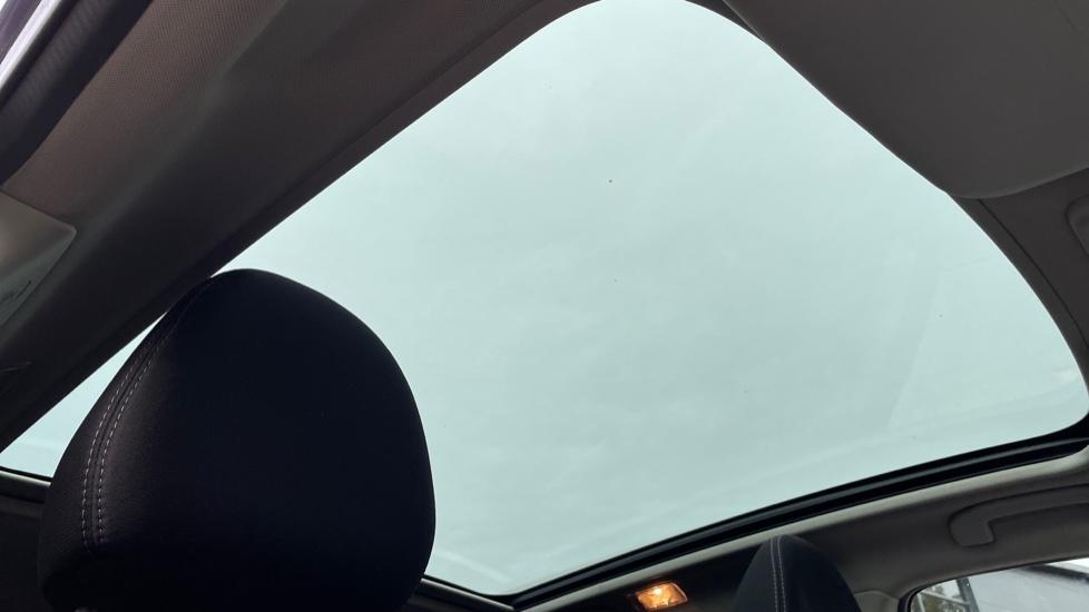 Fixed Panoramic Sunroof 