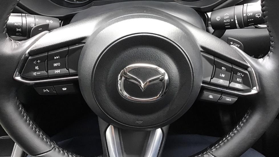 Multifunctional Steering Wheel 