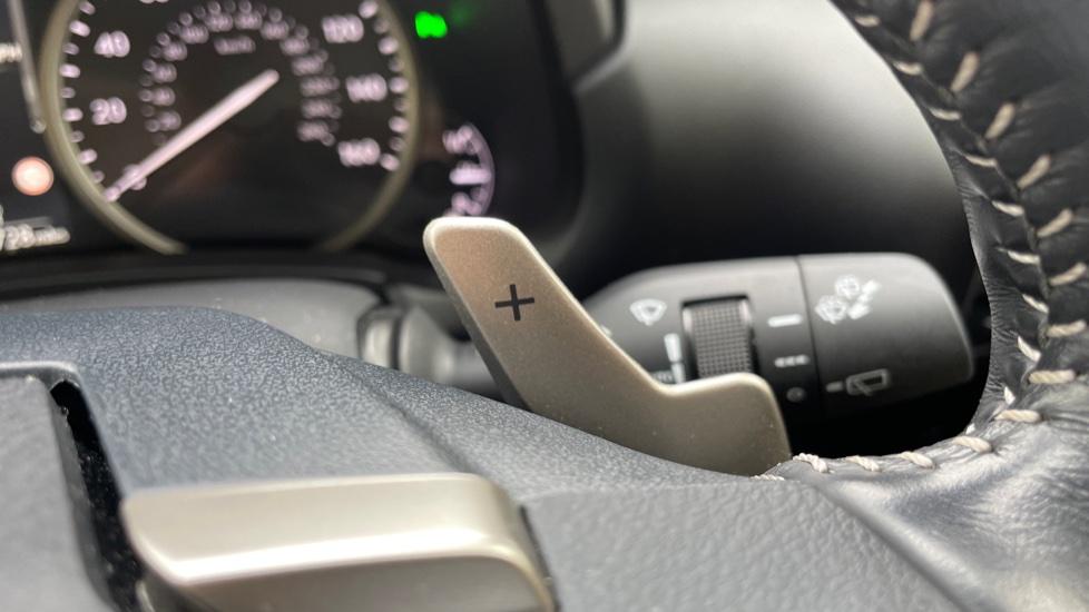 Paddle Shifters 