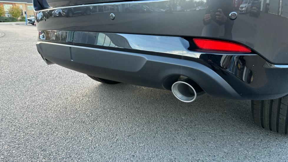 sport tailpipes