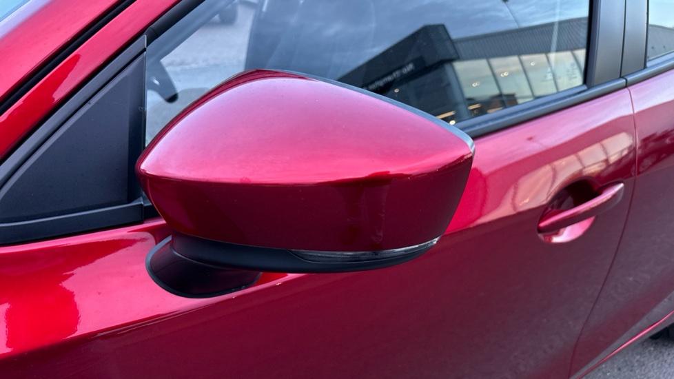 indicator in wing mirror