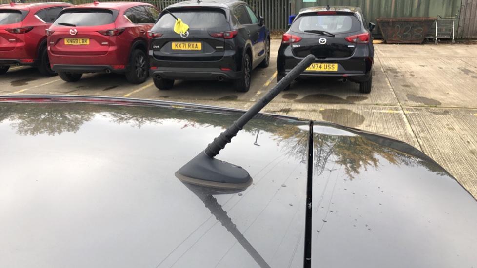 Sporty antenna