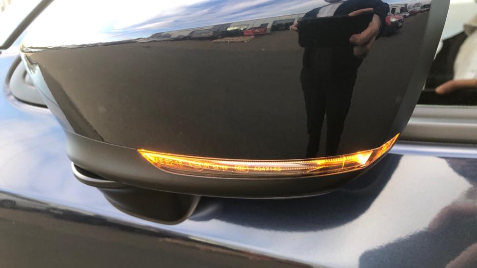 Wing Mirror Indicators