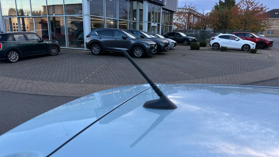 sporty antenna