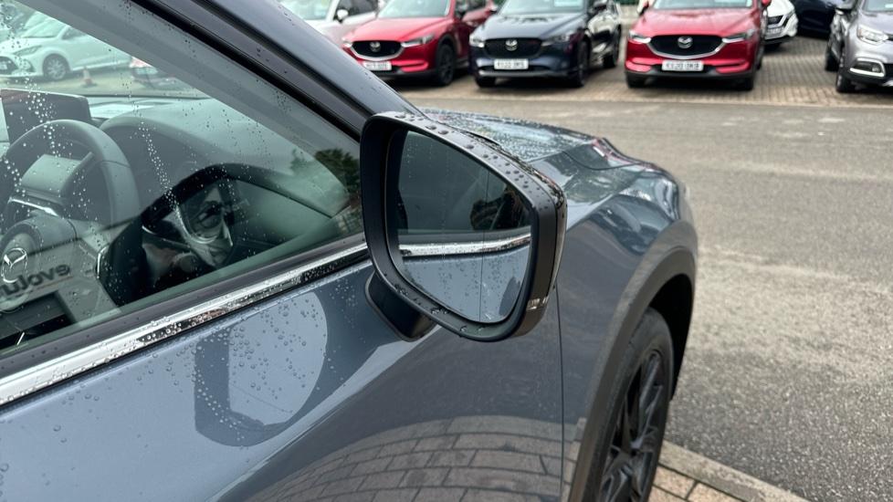 Power Folding Mirrors