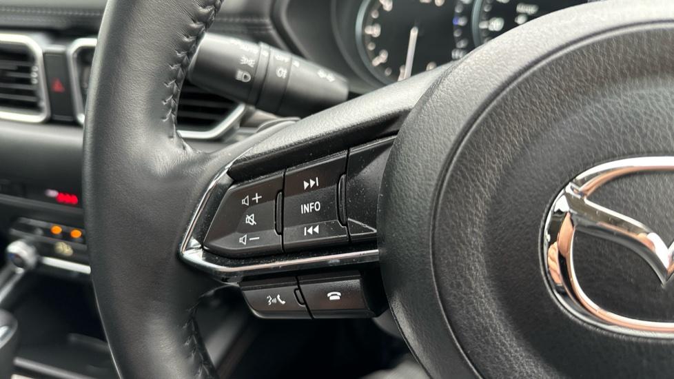 steering wheel mounted controls