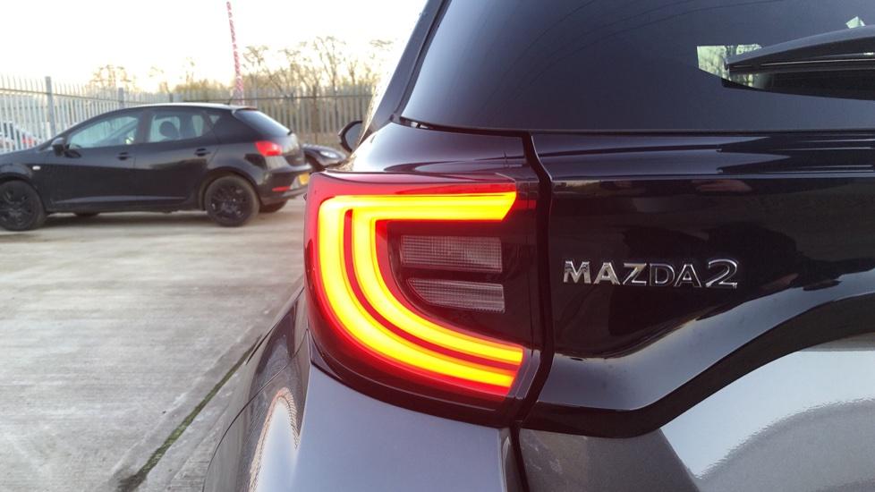 LED Taillights