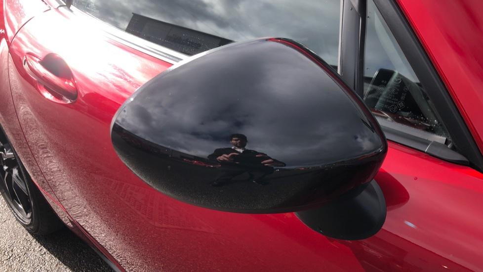 Black Wing Mirrors