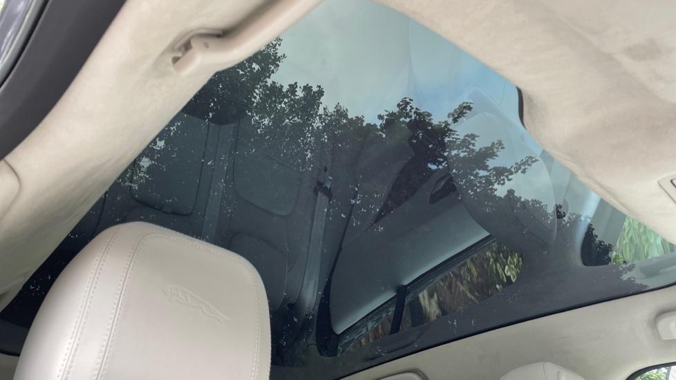 Fixed Panoramic Sunroof 