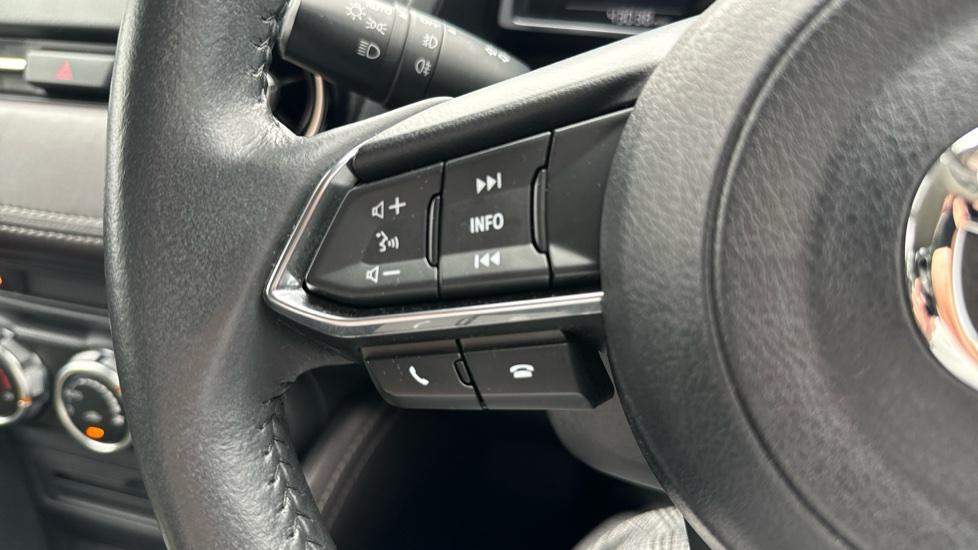 steering wheel mounted controls