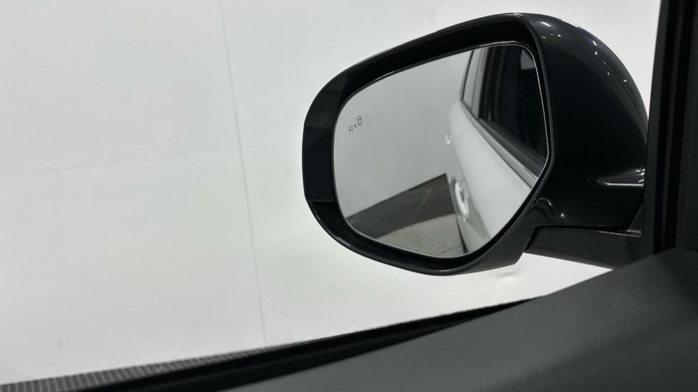 Blind Spot Monitoring System 