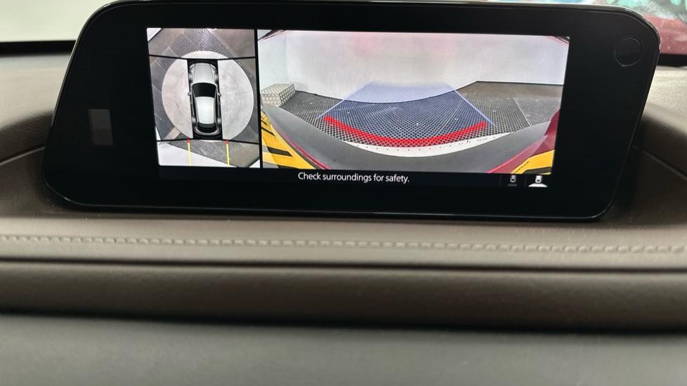 Rear view camera/Park Pilot /360 camera 