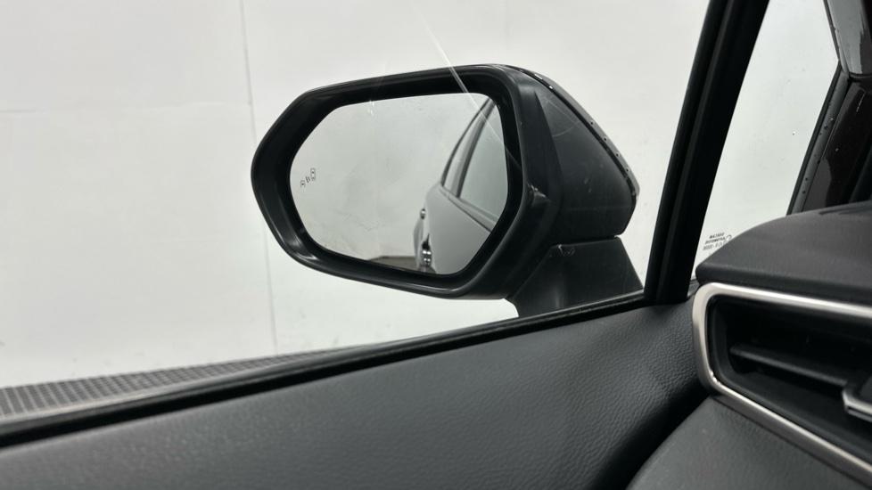 Blind Spot Monitoring System 