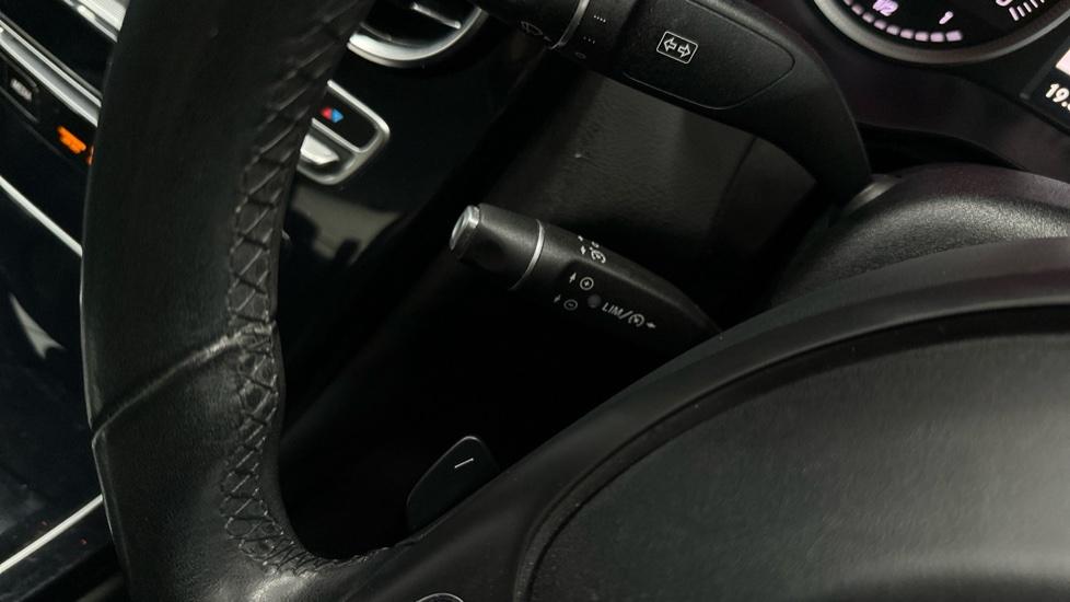Gallery slide 25