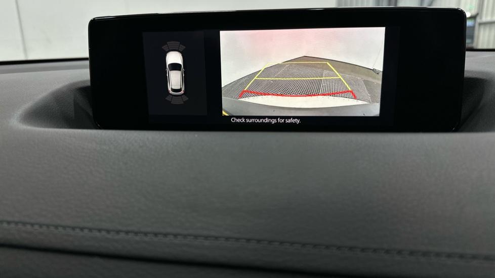 Rear view camera/Park Pilot 