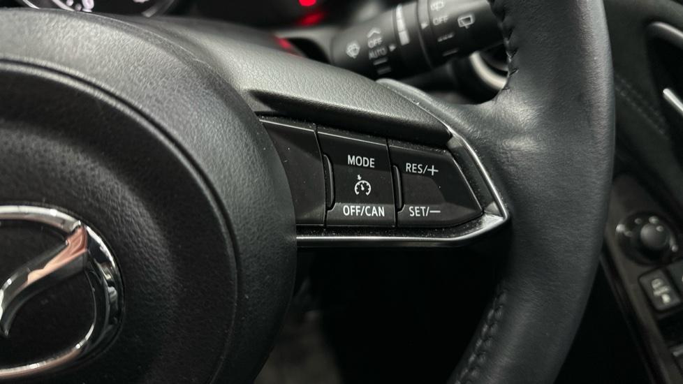 Cruise Control / Speed Limiter 