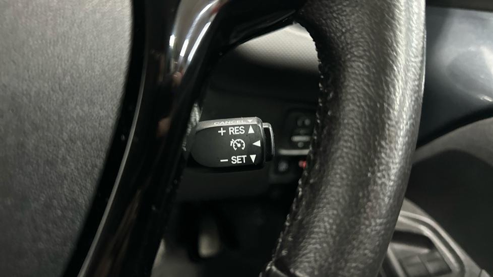 Cruise Control / Speed Limiter 