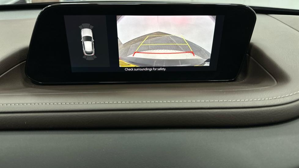 Rear view camera/Park Pilot 