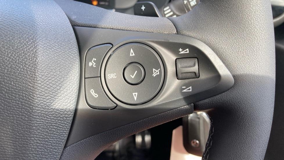 Steering Wheel Controls