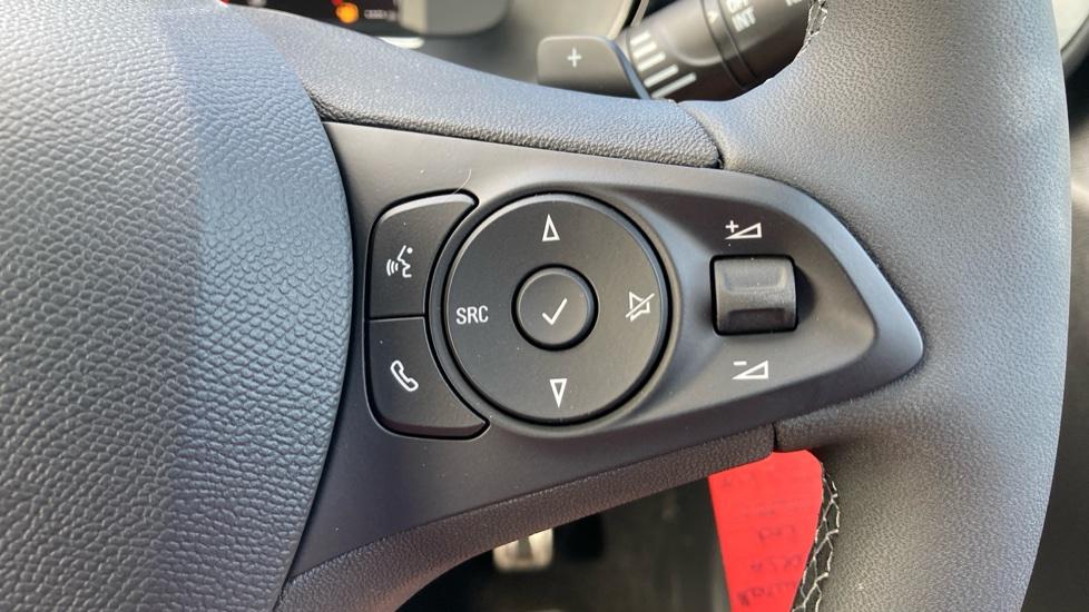 Steering Wheel Controls