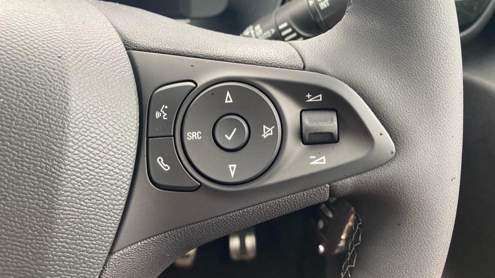 Steering Wheel Controls