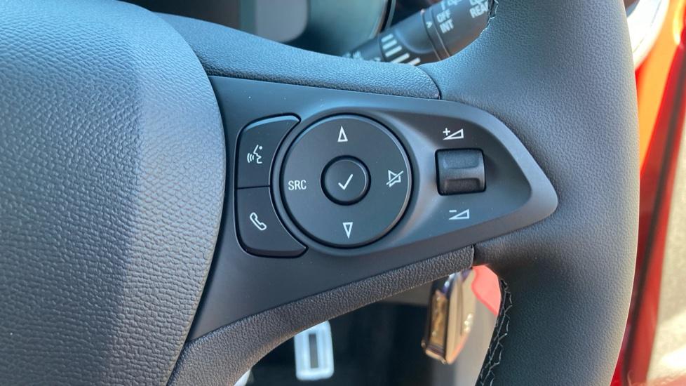 Steering Wheel Controls