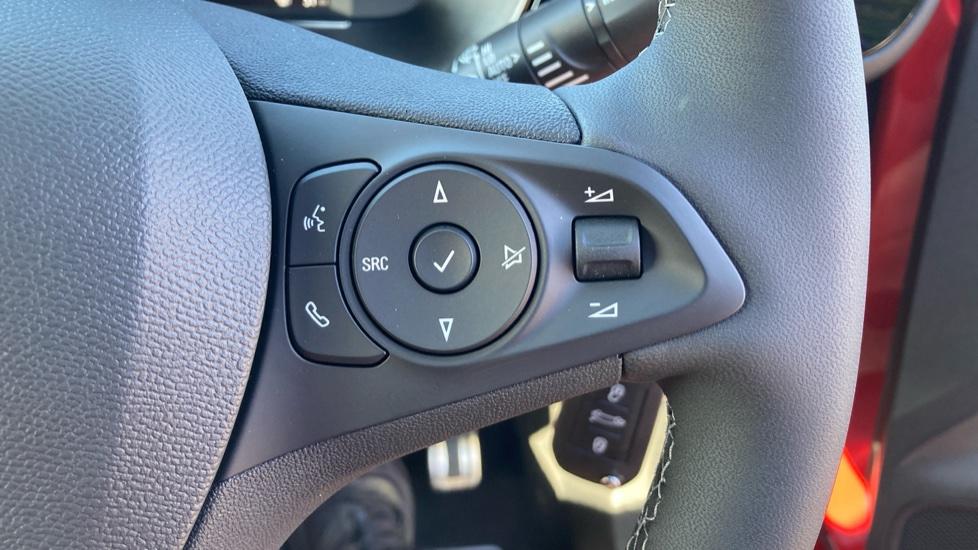 Steering Wheel Controls