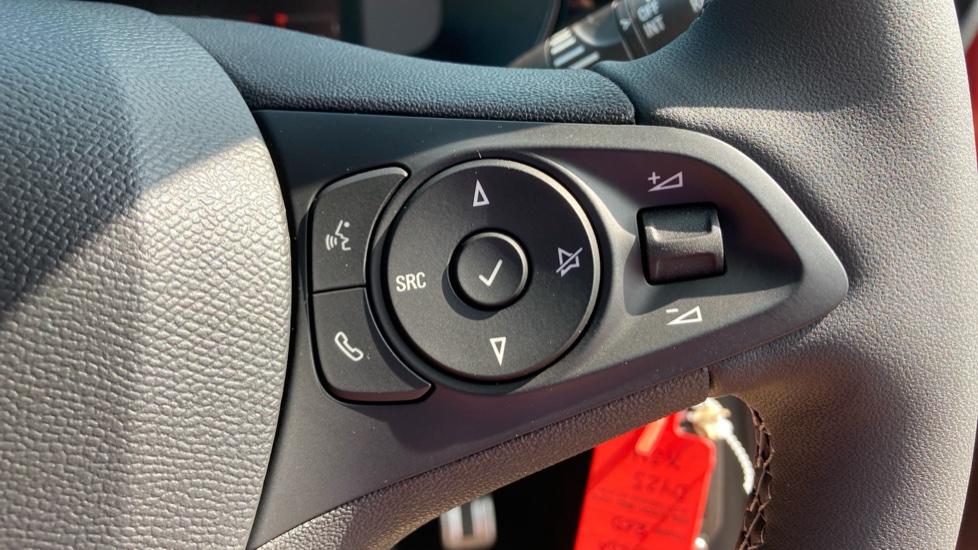 Steering Wheel Controls