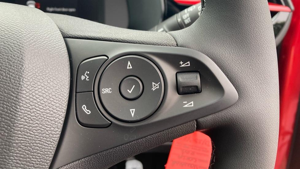 Steering Wheel Controls