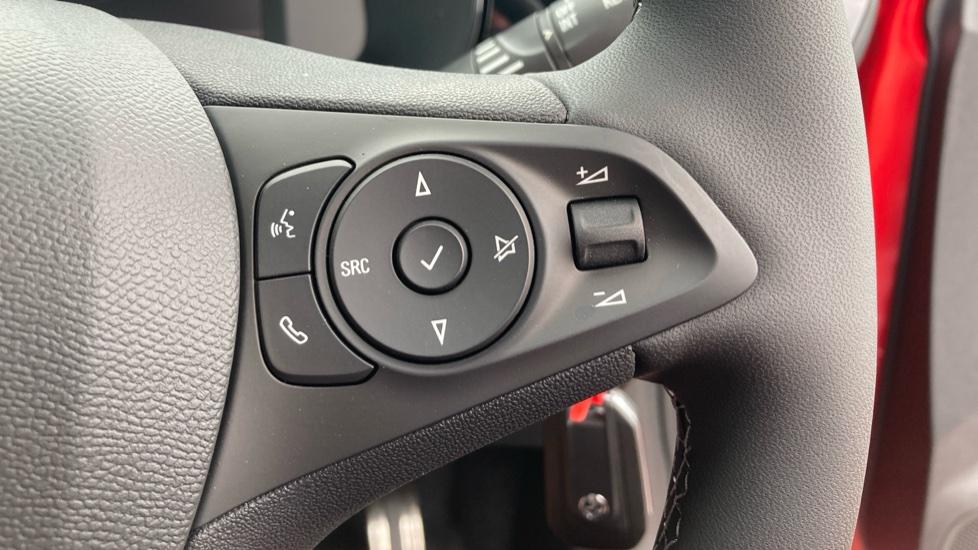 Steering Wheel Controls