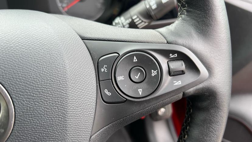 steering wheel controls 