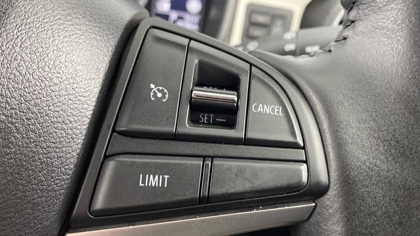 speed Limiter and Cruise Control 