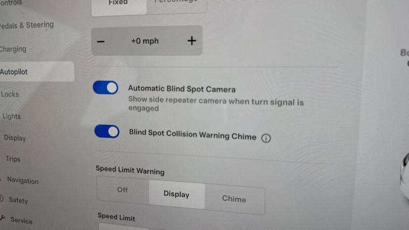 Blind spot monitoring system 