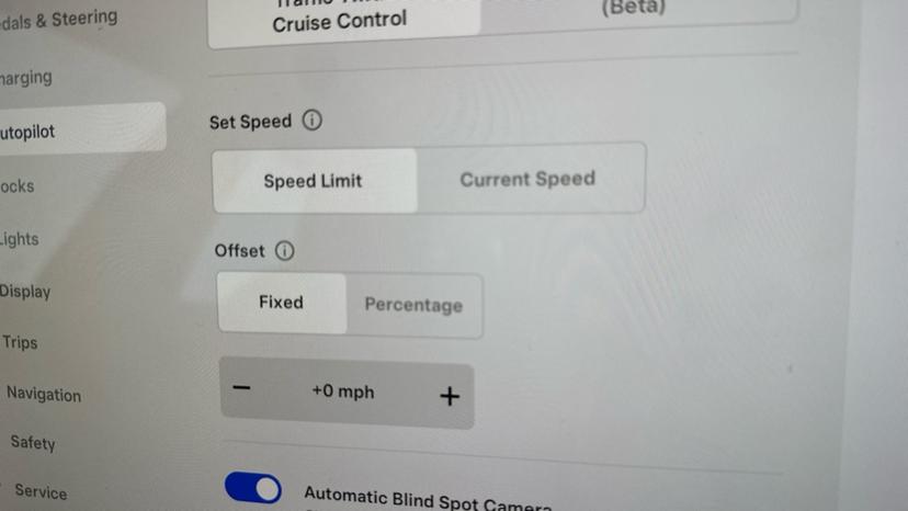 Cruise Control/Speed Limiter 