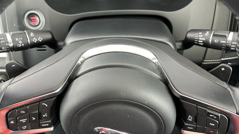 Paddle Shifters 