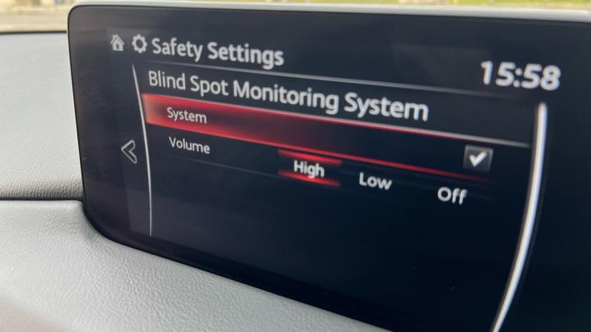 Blind Spot Monitoring 